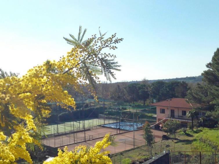 Villa Mimosa Zafferana Etnea Exterior photo